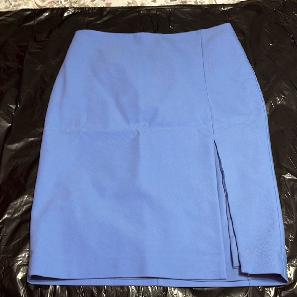 Blue Pencil Skirt — Express
